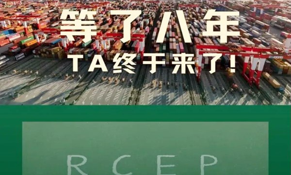 RCEP進出口協議