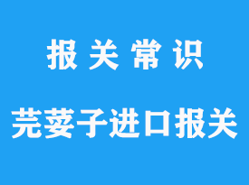 芫荽子進口報關流程，芫荽子進口報關資質公司