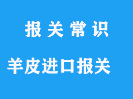 羊皮進口報關清關操作手續流程