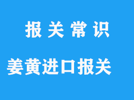 藥食同源姜黃進口準入國家與清關手續流程