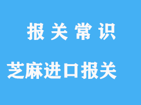 芝麻上海進(jìn)口報(bào)關(guān)手續(xù)流程