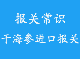 探秘國際貨運代理公司：順勢而為，連接世界