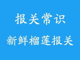 泰國(guó)進(jìn)口新鮮榴蓮報(bào)關(guān)手續(xù)-進(jìn)口代理公司