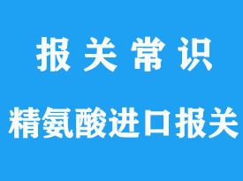 進口精氨酸海運到上海報關公司_通關指南