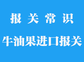 進口肯尼亞牛油果手續_進口條件是什么?