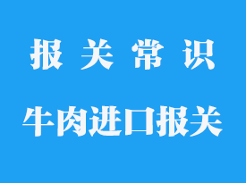 從國外進口牛肉需要辦理哪些手續-_專業報關行