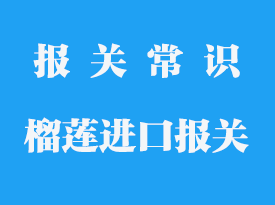  泰國榴蓮進口報關費用_榴蓮進口報關流程