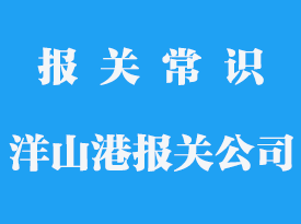 上海洋山港是先報關再進港嗎_專業報關公司推薦