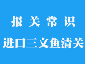 進口三文魚清關需要做的手續有哪些