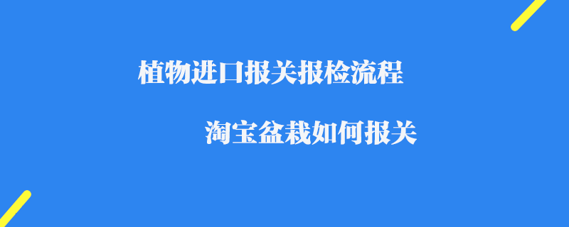 植物進口報關報檢流程_淘寶盆栽如何報關