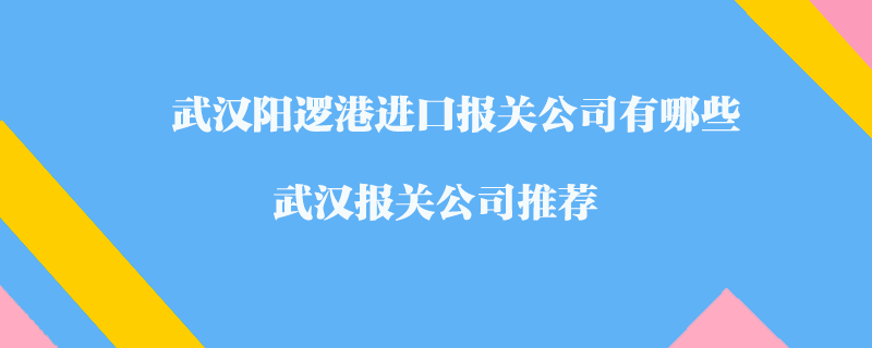 武漢陽邏港進口報關公司有哪些？武漢報關公司推薦