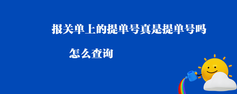 報關單上的提單號真是提單號嗎怎么查詢