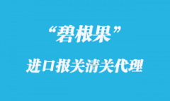 進口碧根果上海報關有哪些流程-知識分享