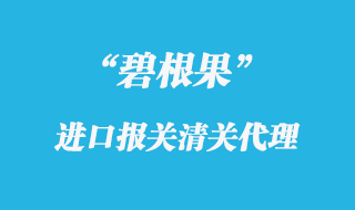 碧根果進口報關(guān)代理