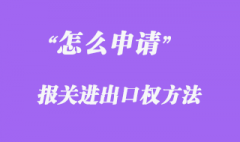 報(bào)關(guān)進(jìn)出口權(quán)怎么申請(qǐng)