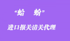 進口蛤蚧清關如何操作？