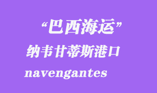 納韋甘蒂斯（navengantes）港口