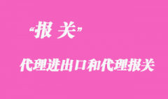 代理進出口和代理報關有哪些區別