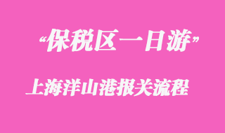 上海洋山港保稅區一日游報關流程