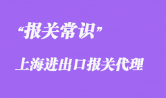 上海進出口報關代理