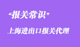 上海進出口報關(guān)代理