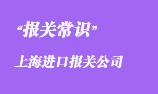 上海進口報關(guān)公司