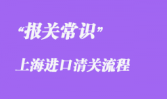 上海進口清關流程