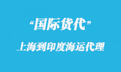 上海到印度海運物流公司有哪些？