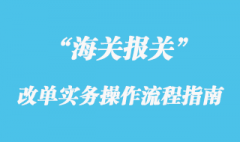 海關改單實務操作流程指南