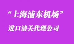 上海浦東機場快遞清關公司_上海專業口碑好的報關公司