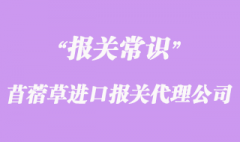 上海苜蓿草清關公司代理了解報關資料知識要點