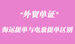 海運提單與電放提單的區別
