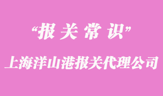 上海洋山港報關代理公司_18年經驗