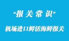 機場進口鮮活海鮮報關流程