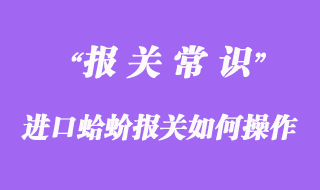 進口蛤蚧報關如何操作？