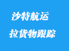 沙特航運海運_沙特航運貨物跟蹤