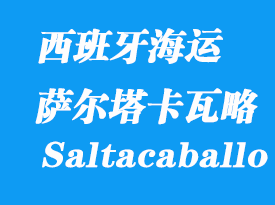 西班牙海運港口：薩爾塔卡瓦略（Punta Saltacaballo）港口