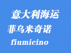 意大利海運(yùn)港口：菲烏米奇諾（fiumicino）港口