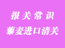 藜麥進口清關經驗分享_上海代理藜麥進口清關流程