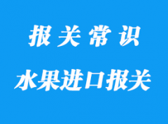 越南水果進(jìn)口報(bào)關(guān)具體操作流程以及清關(guān)要點(diǎn)