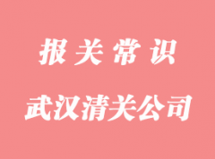 武漢清關公司代理有哪些?哪家比較好