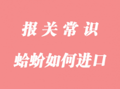 你們知道國外的蛤蚧如何進口報關到國內嗎？