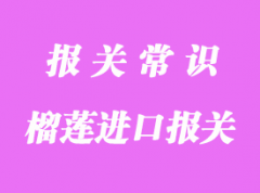 馬來西亞貓山王榴蓮進(jìn)口報(bào)關(guān)需要注意的事項(xiàng)