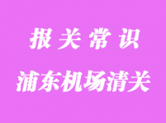 冷凍蝦浦東機場進口清關代理服務流程簡述