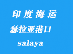 印度海運港口：瑟拉亞（salaya）港口