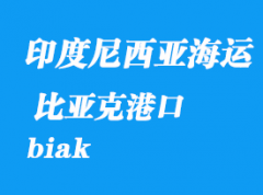 印度尼西亞海運港口：比亞克（biak）港口