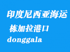 印度尼西亞海運港口：棟加拉（donggala）港口