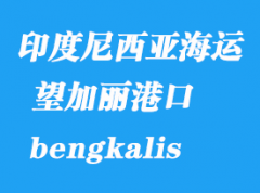 印度尼西亞海運港口：望加麗（bengkalis）港口