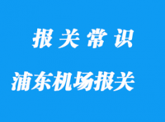 上海浦東機場報關公司哪家好_機場報關行