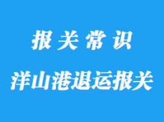 上海洋山港退運報關所需資料